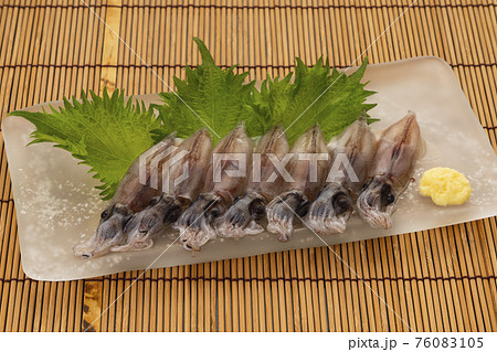 生ホタルイカ お刺身 イメージ 生ホタルイカ お刺身 イメージ 76083105