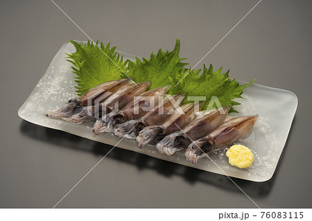 生ホタルイカ　お刺身　イメージ 76083115