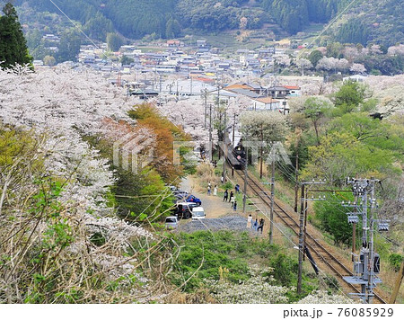 静岡県　家山の桜とSLさくら号　春 76085929