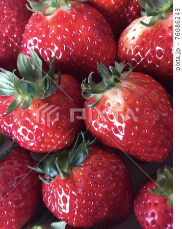 イチゴ／苺／いちご　　　 ▼▼▼ Strawberry ▼▼▼ 76086243