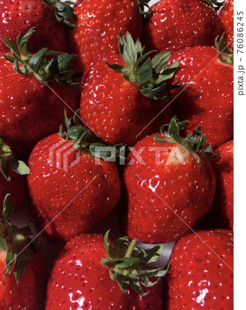 イチゴ／苺／いちご　　　 ▼▼▼ Strawberry ▼▼▼ 76086245