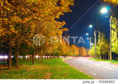 autumn in the city at night, trees with yellow leaves, road and houses autumn in the city at night, trees with yellow leaves, road and houses 76086867