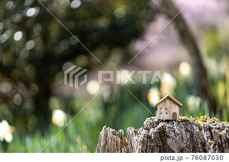 小さなおうち（春の花背景） 76087030