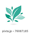 Tree leaf ecology nature vector icon. Eco icon green leaf vector illustration isolated. Plant, tree leaves illustrations. Signs of organic food, natural material, bio ingredient, eco emblem. 76087185