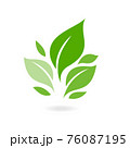 Green leaf ecology nature vector icon. plants and leaves. Logos of green leaf ecology nature element vector icon. Tree leaf ecology nature vector icon. 76087195