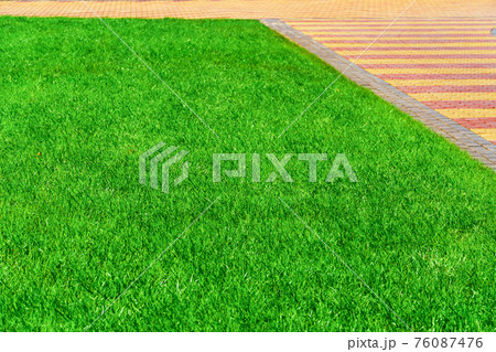 walkway made of paving slabs and green grass as a background, bright sunlight 76087476