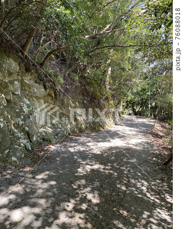 佐伯市　城山登山道 76088018