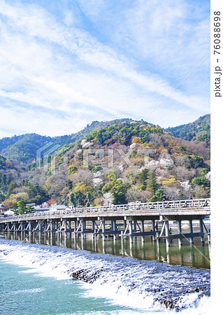 嵐山　渡月橋　桜 76088698