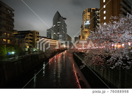 川沿いの夜桜 川沿いの夜桜 76088998