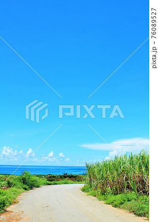 沖縄　青空とサトウキビ畑の風景 76089527