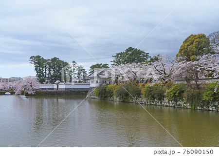 小田原城址公園 小田原城址公園 76090150