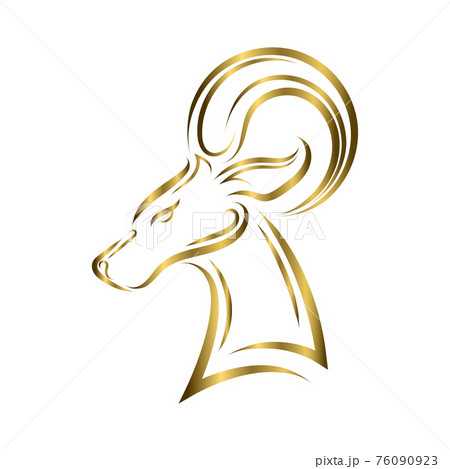 Gold Line Art Of Barbary Sheep Head Good Use のイラスト素材