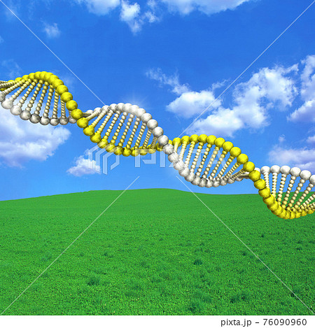 ウイルスDNA遺伝子配列のイメージ 76090960