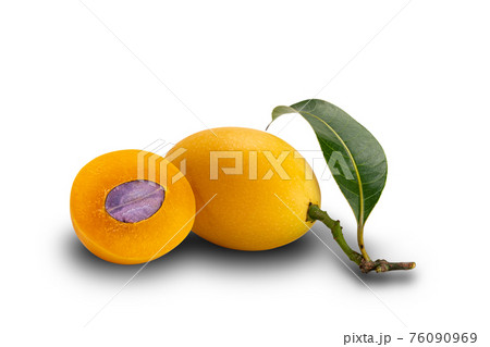 Freshly harvest Marian Plum fruit a whole and a half with leaf on white background. 76090969