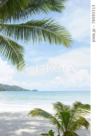 tropic beach 76093513