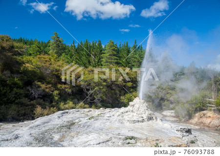 Lady Knox Geyser in New Zealand Lady Knox Geyser in New Zealand 76093788