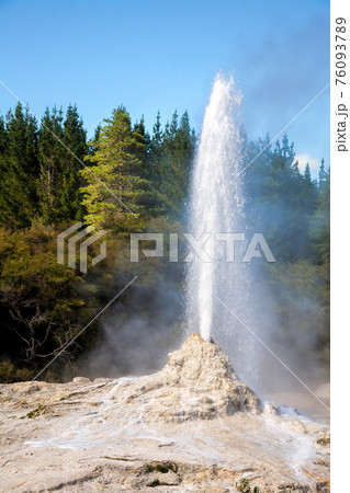 Lady Knox Geyser in New Zealand Lady Knox Geyser in New Zealand 76093789