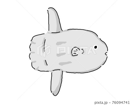 マンボウのイラスト素材 76094741 Pixta