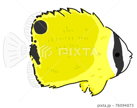 チョウチョウウオのイラスト素材