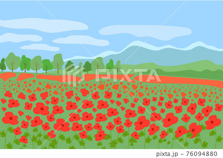 Red poppy flowers field beautiful natural landscape of French Provence, scenery bright background with forest, mountains on a sunny summer day 76094880