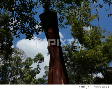 真夏の青空に建つ鳥居 76095653