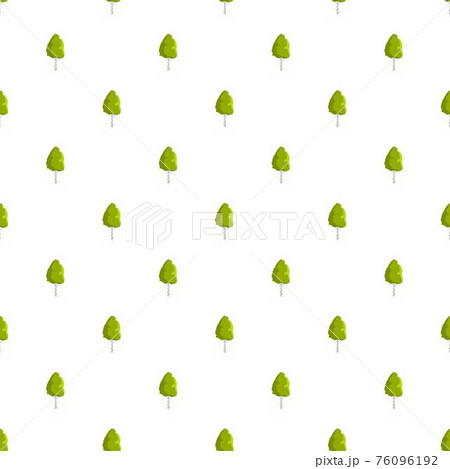 Birch tree pattern seamless 76096192