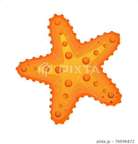 Starfish or Sea Star with Five Arms as Marine Animal Vector Illustration Starfish or Sea Star with Five Arms as Marine Animal Vector Illustration 76096872
