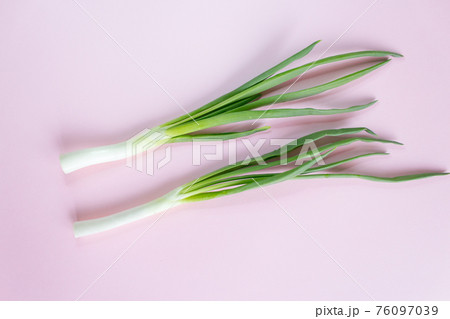 young green onions on a background, pink background young green onions on a background, pink background 76097039
