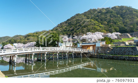 鳥取城　「中ノ御門（なかのごもん）表門」の春風景 76097931