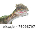 恐竜の写真【白バック＆メッセージスペース】 76098707