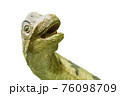 恐竜の写真【白バック＆メッセージスペース】 76098709