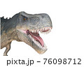 恐竜の写真【白バック＆メッセージスペース】 76098712