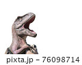 恐竜の写真【白バック＆メッセージスペース】 76098714