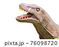 恐竜の写真【白バック＆メッセージスペース】 76098720
