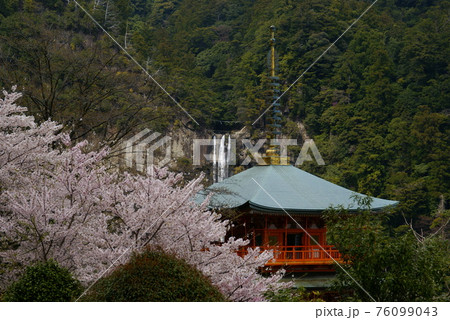 三重の塔と那智の滝 76099043