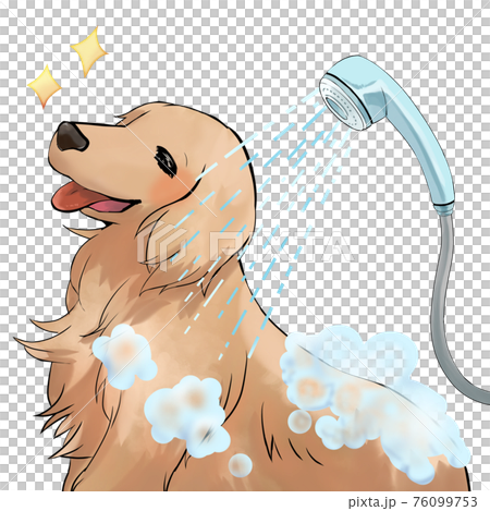 シャワーが気持ちいいゴールデンレトリバーのイラスト素材