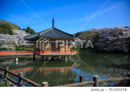 安倍文殊院 金閣浮御堂 安倍文殊院 金閣浮御堂 76100248