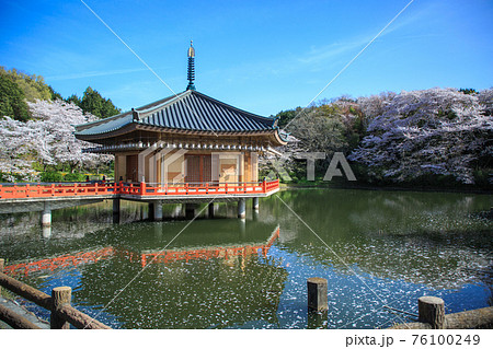 安倍文殊院　金閣浮御堂 76100249