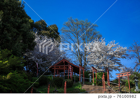 安倍文殊院稲荷神社 76100982