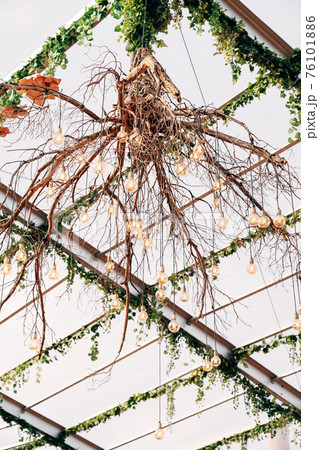 Chandelier made from tree roots. Unusual design solutions for interior decoration. 76101886