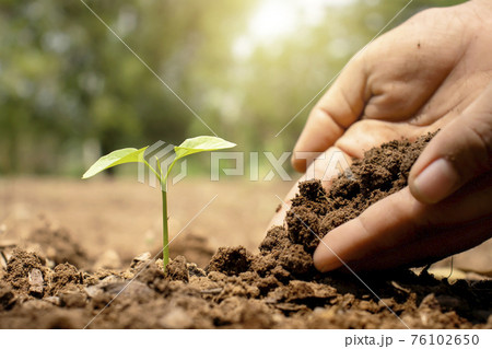 Close-up of a human hand holding a seedling including planting seedlings, Earth Day concept, global warming reduction campaign and managing ecological balance. 76102650