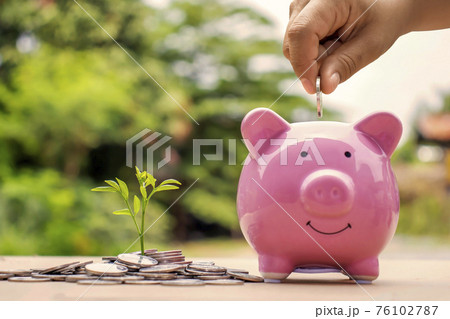 A sapling or a small tree planted on a pile of coins, including a hand that holds a coin on a piggy bank to save money, saving ideas and saving money. 76102787