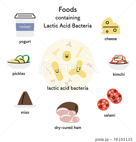 乳酸菌と乳酸菌を多く含む主な食品 英語 のイラスト素材