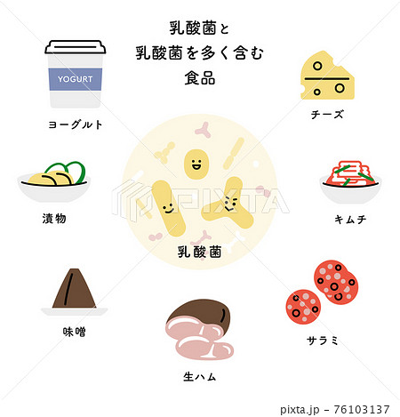 乳酸菌と乳酸菌を多く含む主な食品 日本語 のイラスト素材 76103137 Pixta