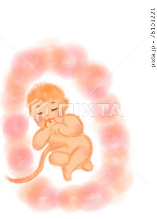 子宮の中で安心して守られている赤ちゃんのイメージイラスト のイラスト素材