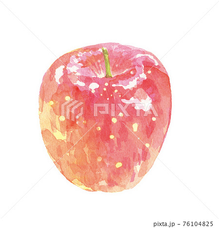りんご 水彩イラストのイラスト素材