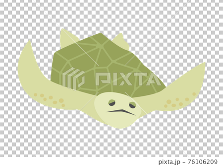 ウミガメのイラスト　正面 76106209