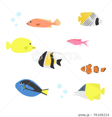 可愛い魚のイラストセットのイラスト素材