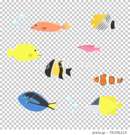 可愛い魚のイラストセットのイラスト素材