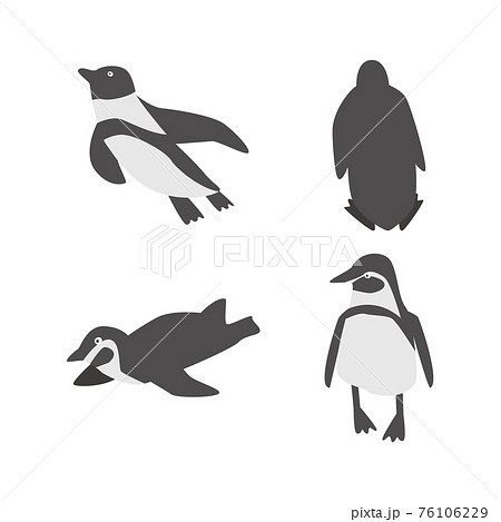 ペンギンのイラストセットのイラスト素材